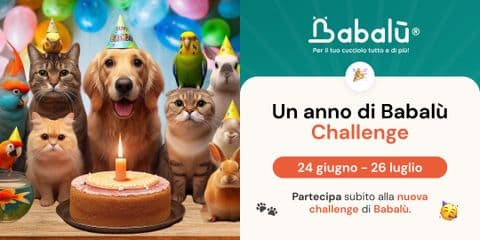 Babalù® - La tua App per il Pet